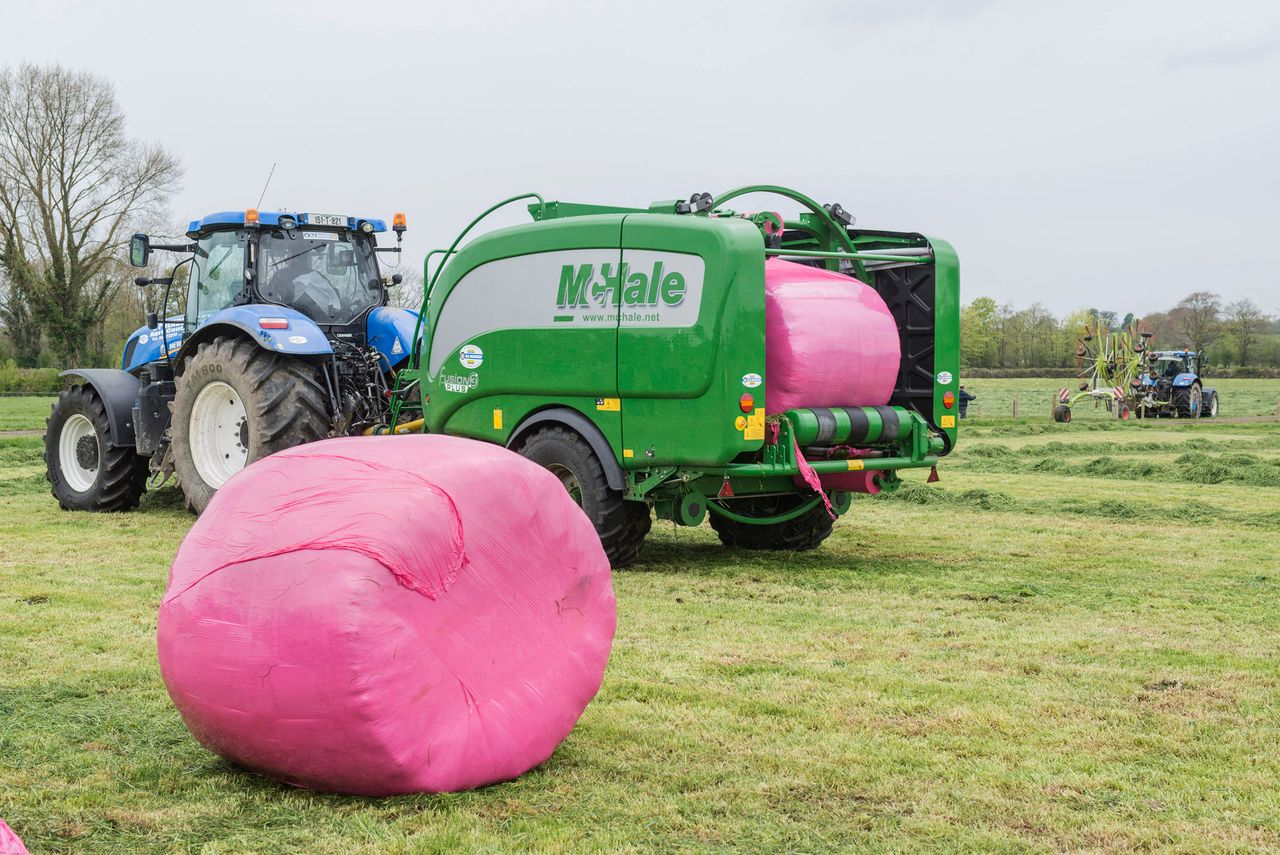 Pink bales return: Dairygold links up with Irish Cancer Society once more