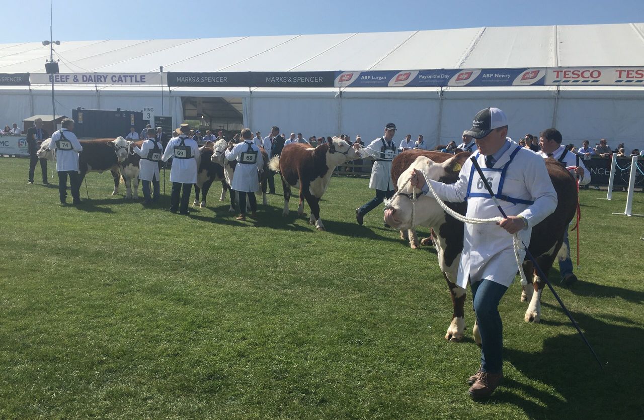 Video: Watch the first day at Balmoral Show 2017