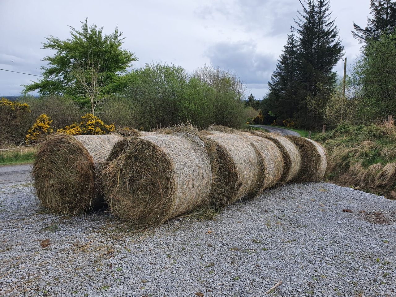 How rushes can be utilised to reduce on-farm emissions