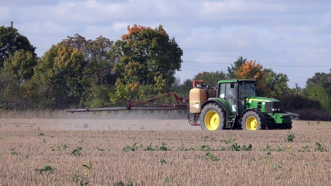 Less pesticides won't make food production more sustainable - expert