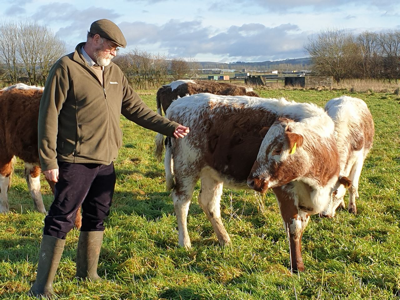 Lough Neagh farmers benefit from £4 million support for agri-environmental projects