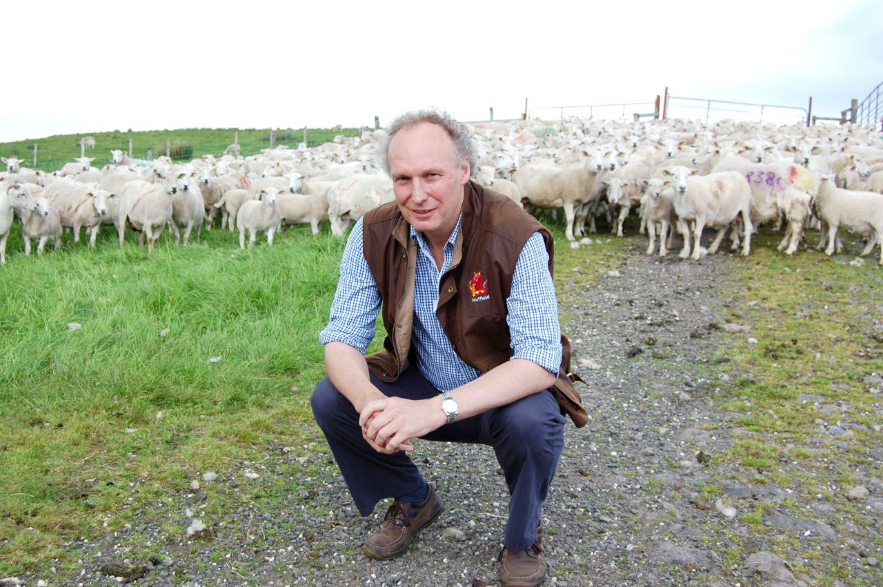 Irish Easy Care sheep embryos heading for New Zealand