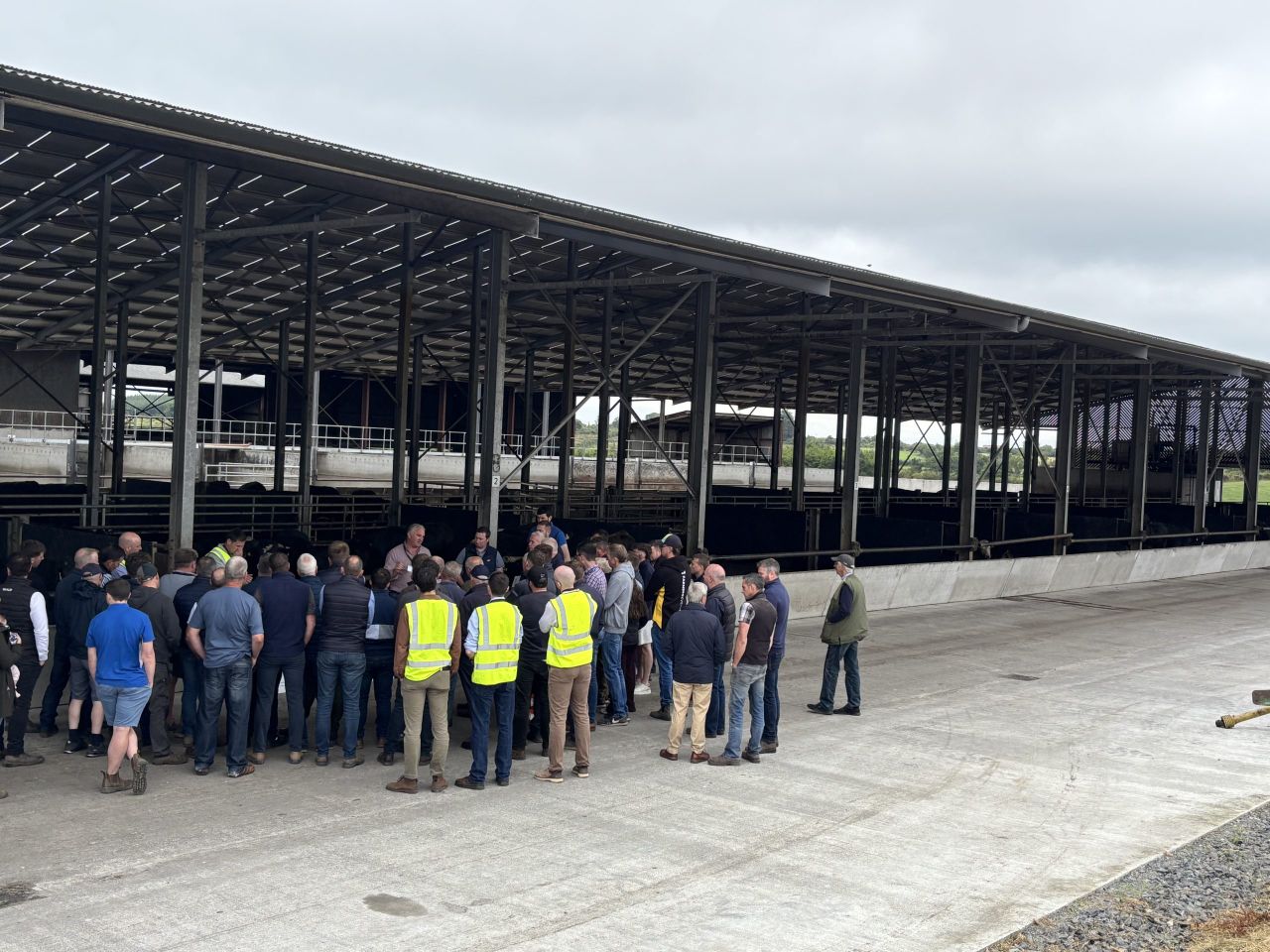New cattle weighing technology in action on Cavan beef farm