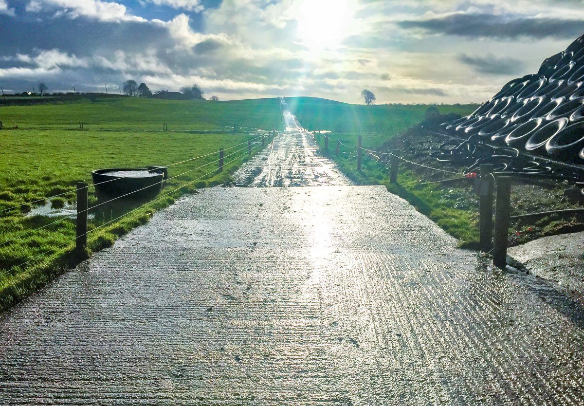 Dairy focus: Driving 'black and white' production from grass in Co. Westmeath