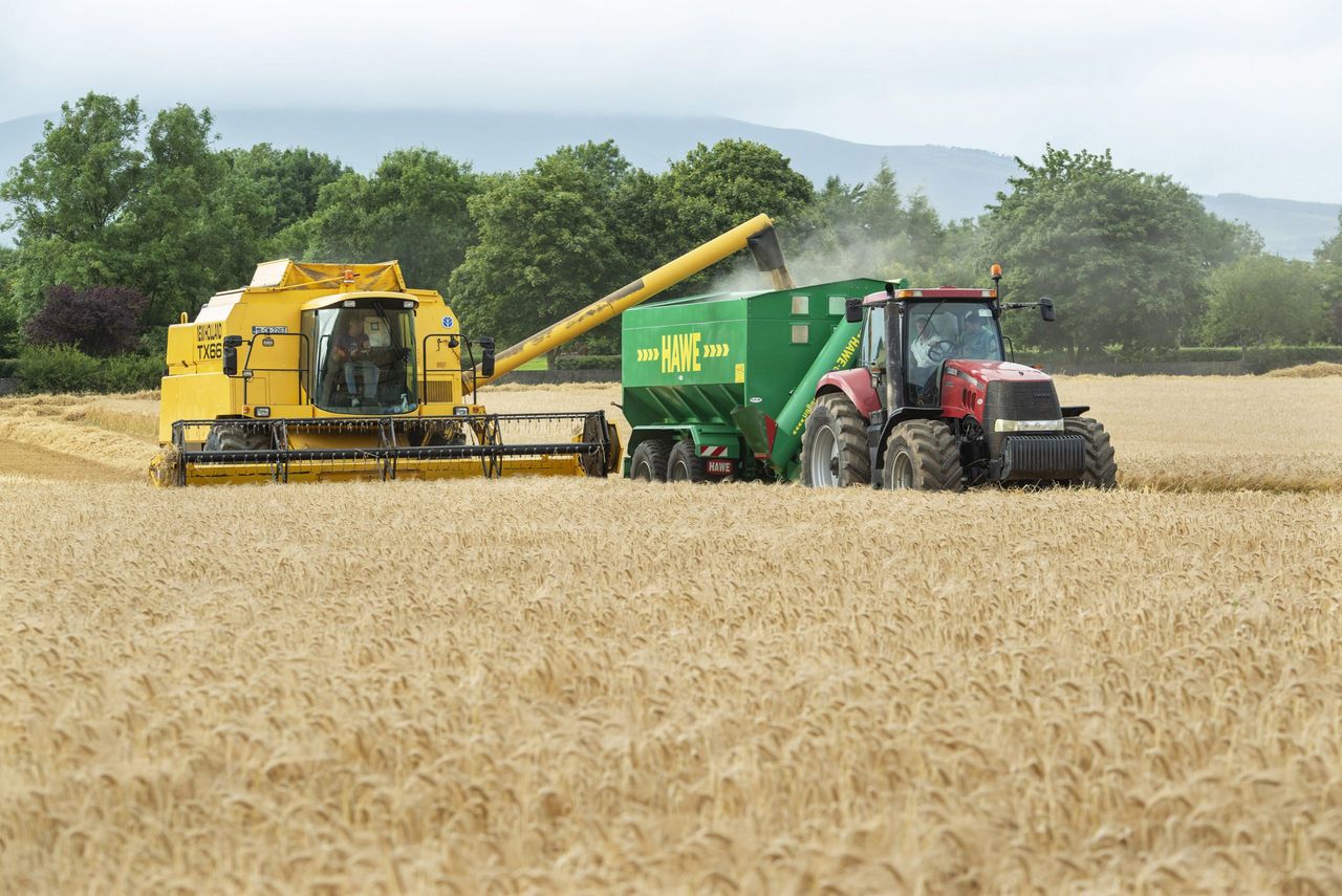 Harvest update: Most crops now harvested following dry weather