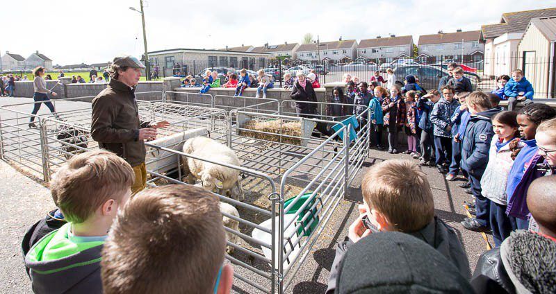 Mobile farm reaches out to schools and nursing homes