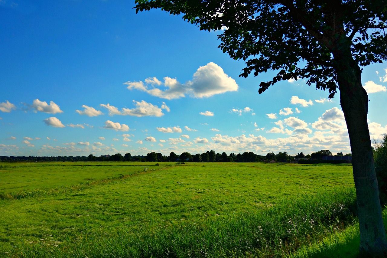 €4.3bn investment needed for 'energy transition' in agriculture - Davy