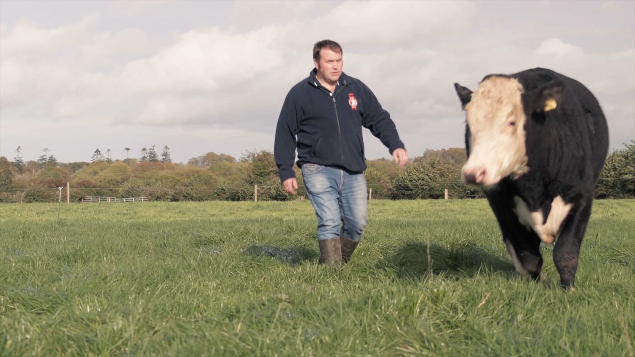 Irish Hereford Prime Farmer of the Year 2020 revealed