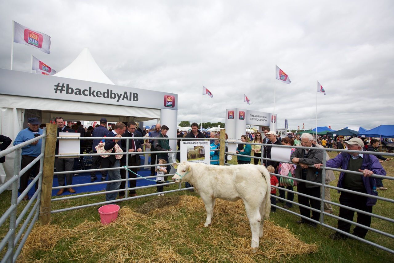 Reminder: Traffic plan in place for tomorrow's Tullamore Show