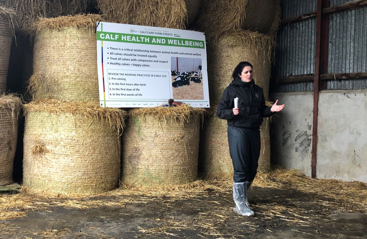 'Calf health is a good measure of calf welfare' on farms
