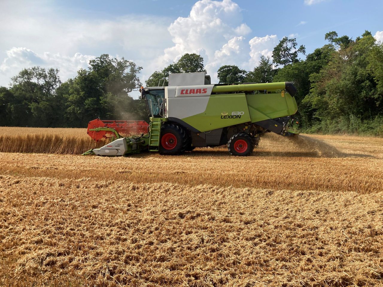 Harvest 2021: Cereal production increased by 21%