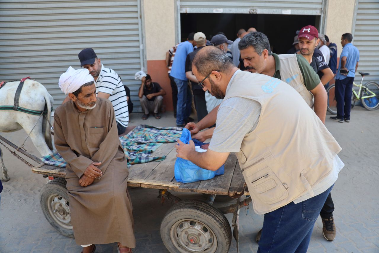 Vet kits and fodder sent to Gaza to help improve livestock health
