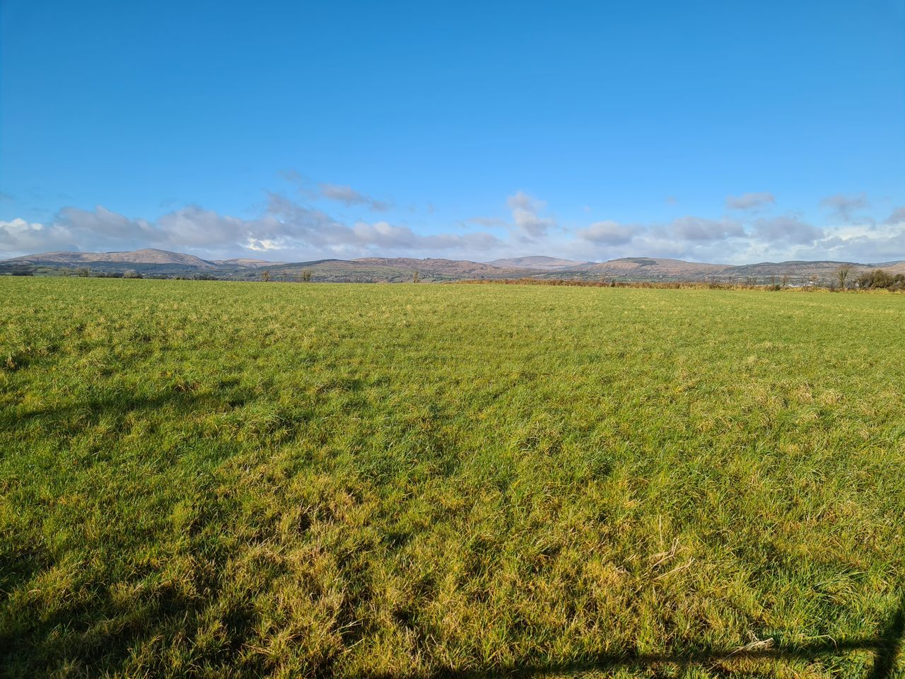 69ac farm on the market 'situated in the heart of dairy country'