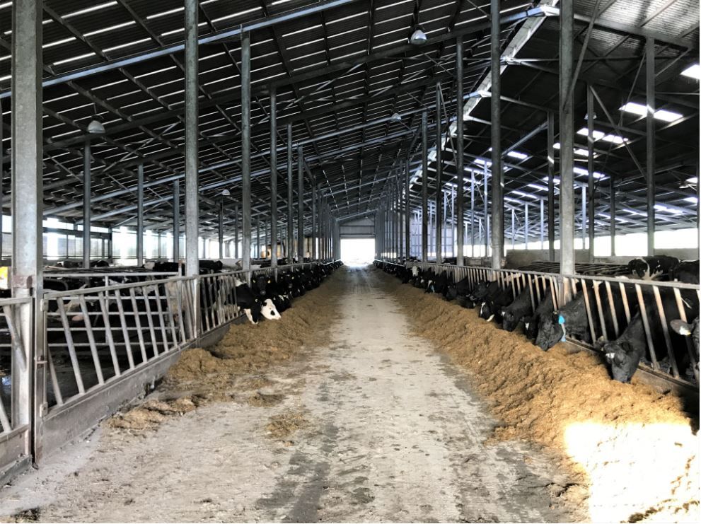 Dairy farmers urged to look inside their farmgate before considering further expansion
