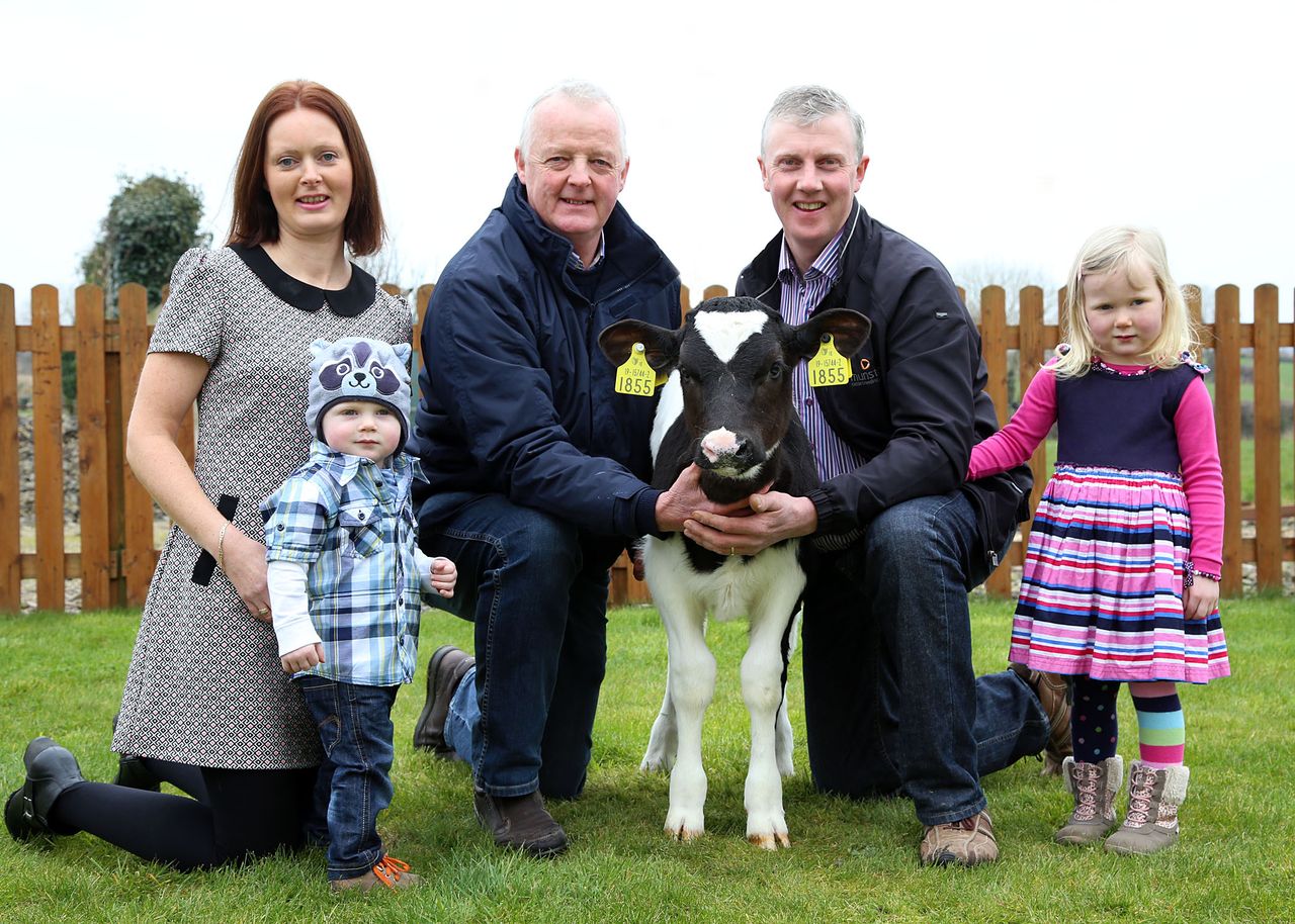 Kerry farmer breeds 400 EBI bull calf