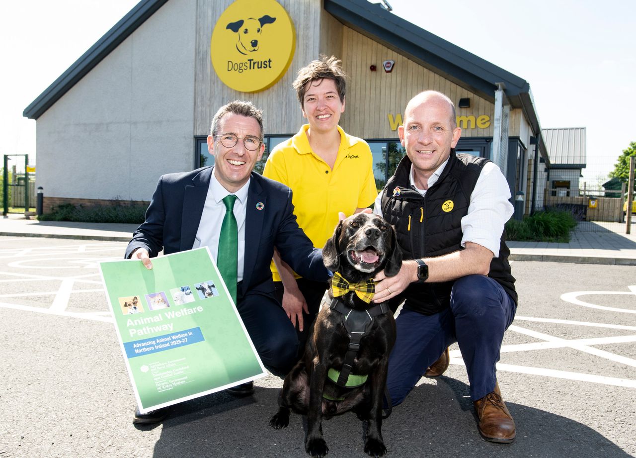 NI minister proposes 'radical' plan on animal welfare
