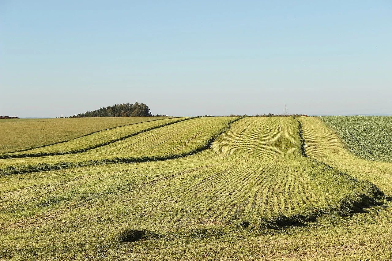 Almost €2.5m paid for the hay meadow measure in ACRES