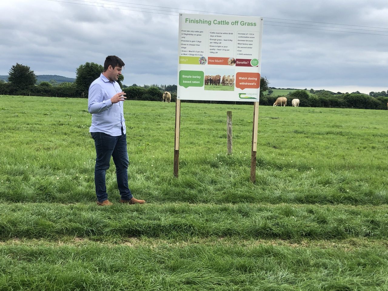 Market demand for younger Irish beef cattle in future