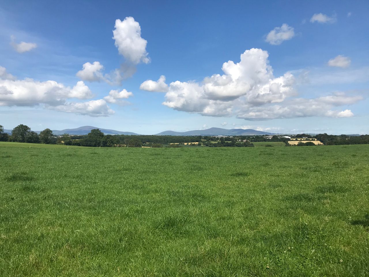 57ac Enniscorthy holding with derelict bungalow for auction