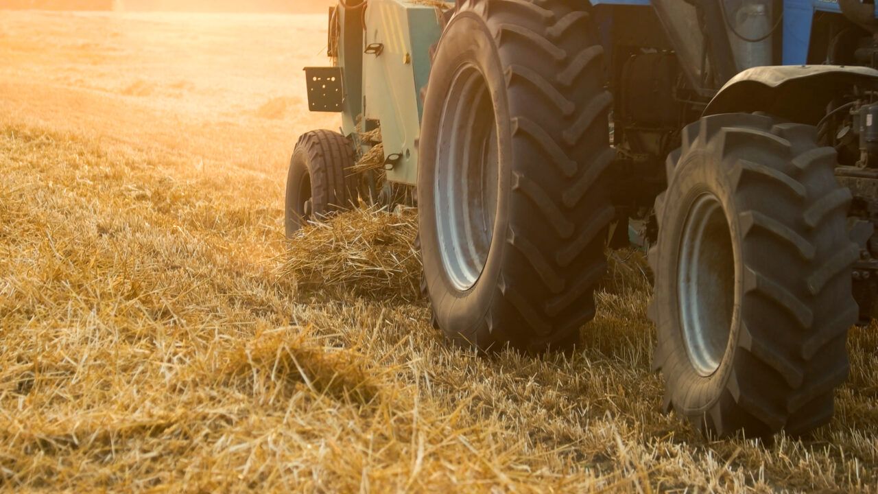 Farm safety: Children have 'potential to change cultures and behaviours'