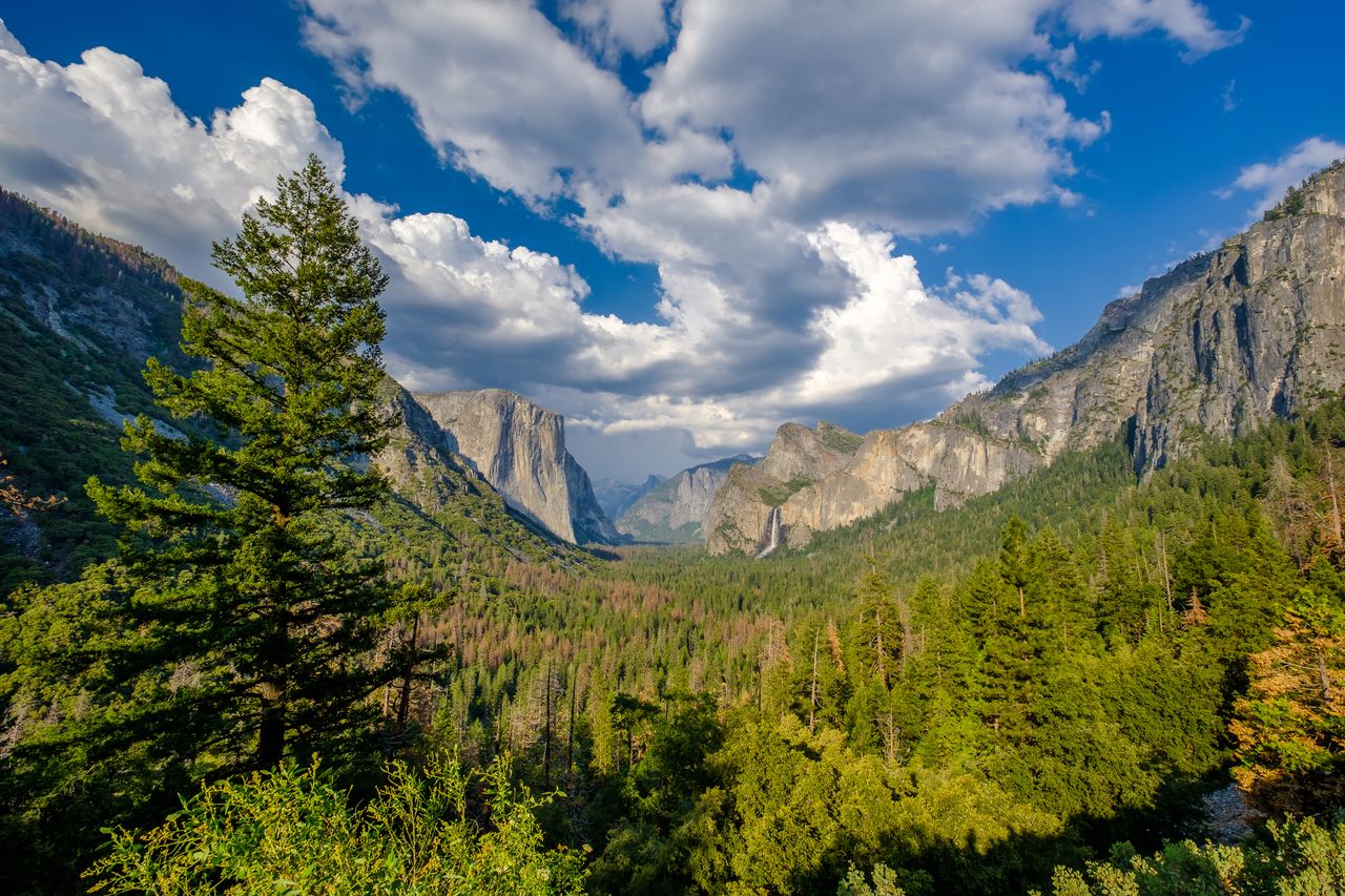 Agreement signed between national parks in Mayo and US
