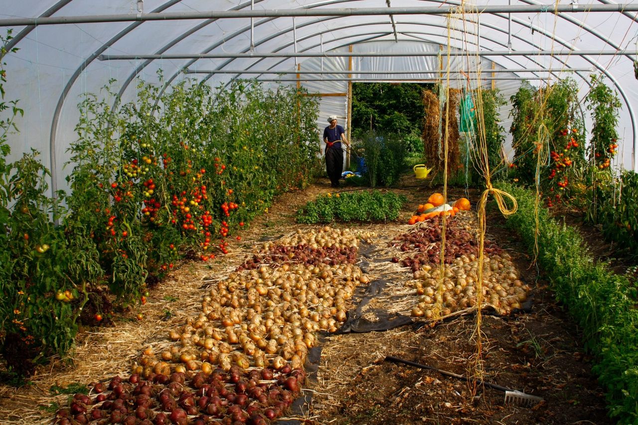 More supports needed for small scale local production