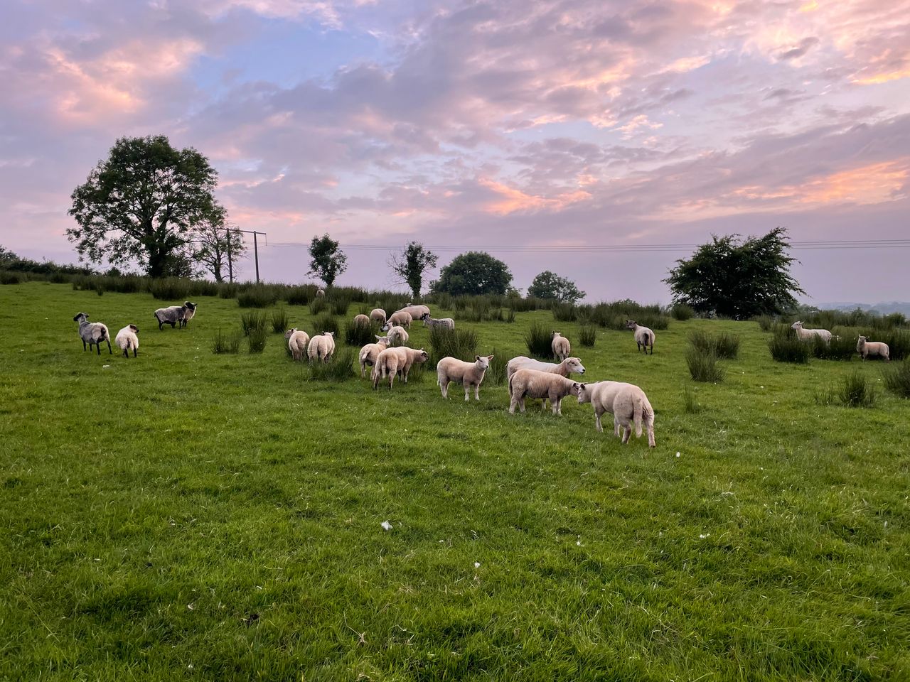 Weekend weather: Wet in south-east with drier conditions elsewhere
