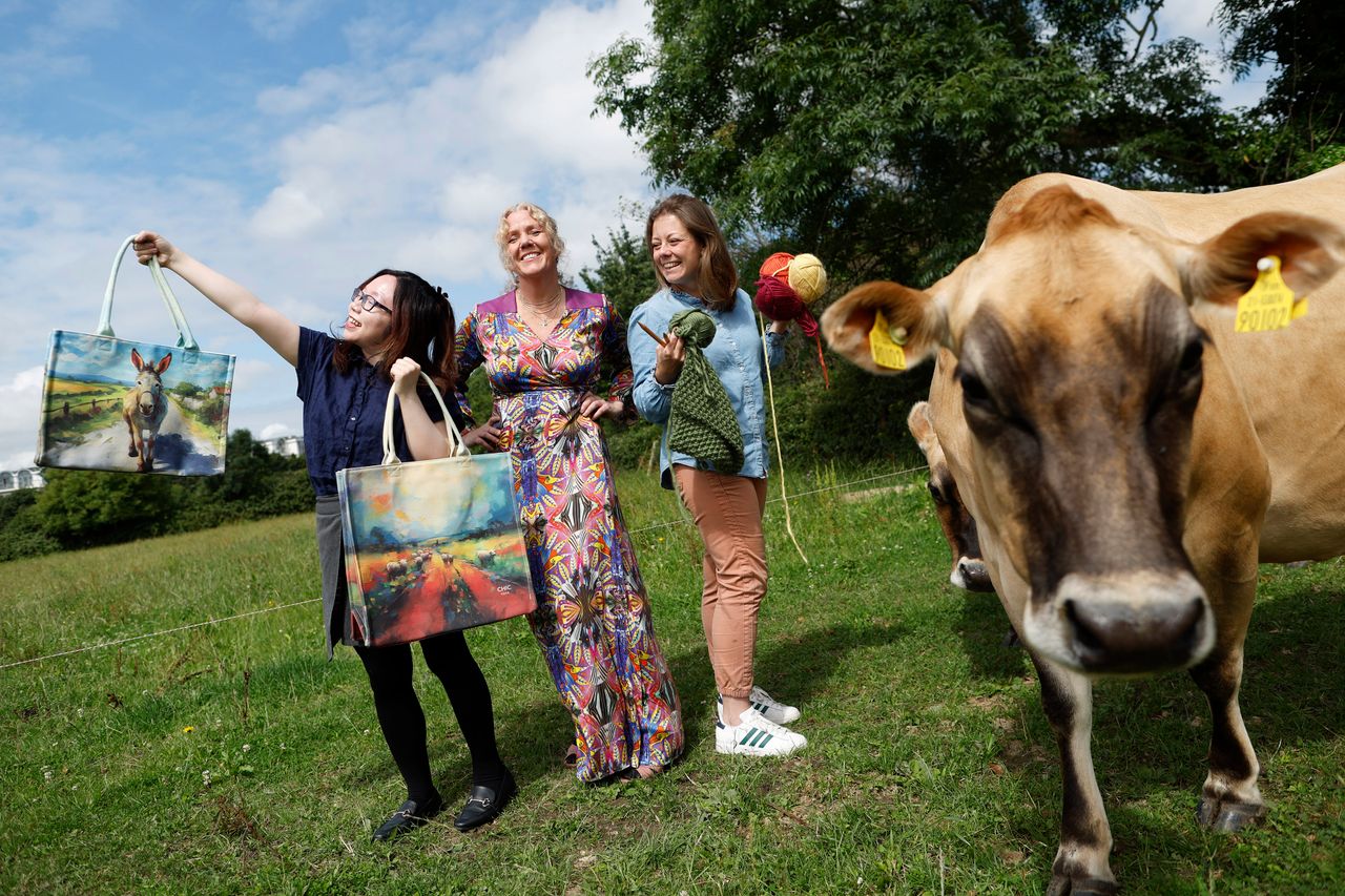 Ploughing: Local Enterprise Village to feature over 30 businesses