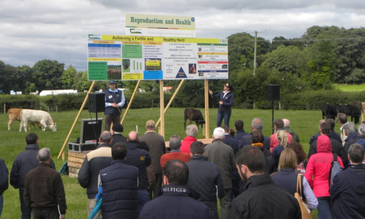 Virtual Beef Week 2020 plans in full swing