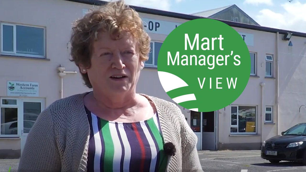 Cattle clearing €3/kg 'left, right, and centre' at Tuam Mart
