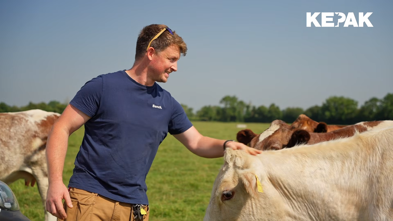 Insight from Laois beef farmer on Kepak Young Farmer Forum