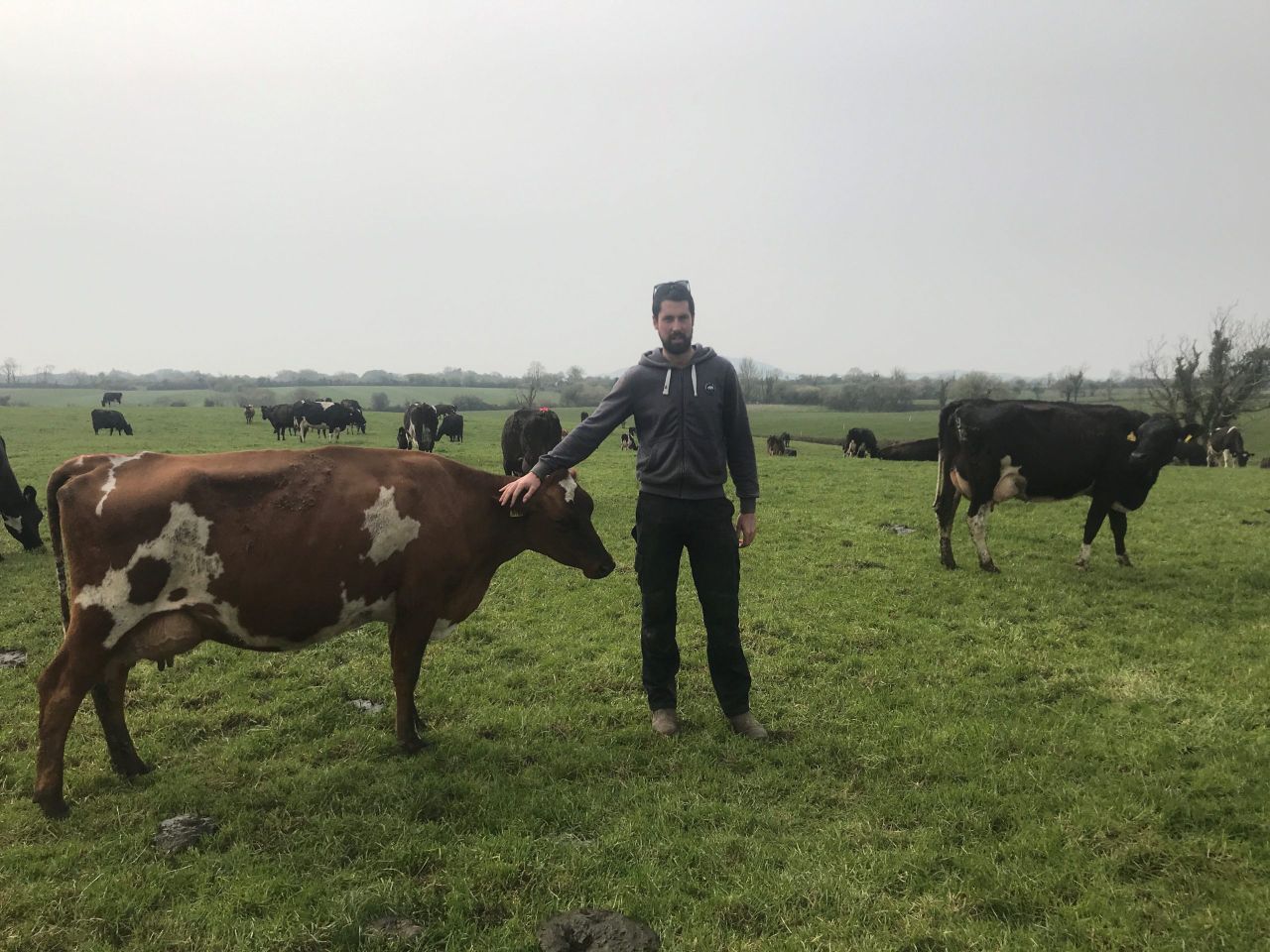 Dairy throwback: From 8 ewe and 5 bull calves to a 120-cow Wicklow dairy farm