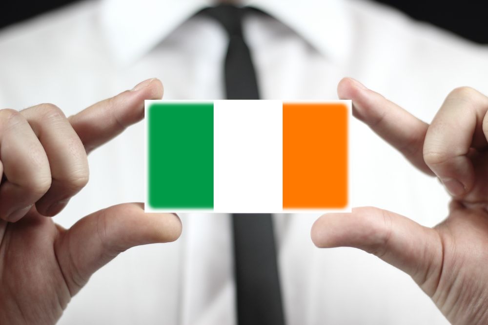 Top companies represented on new Irish consumer foods group