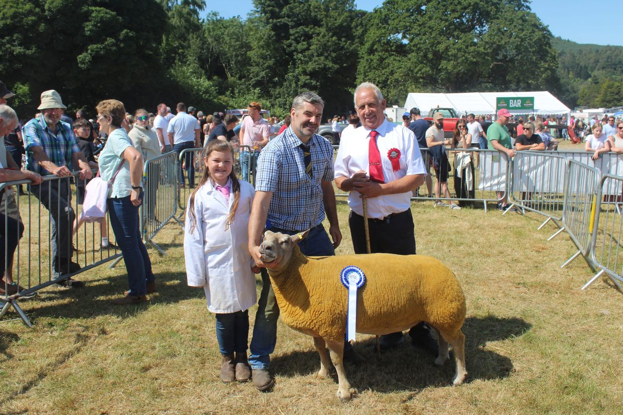 Lamb markets 'counterproductive' to building future for sector