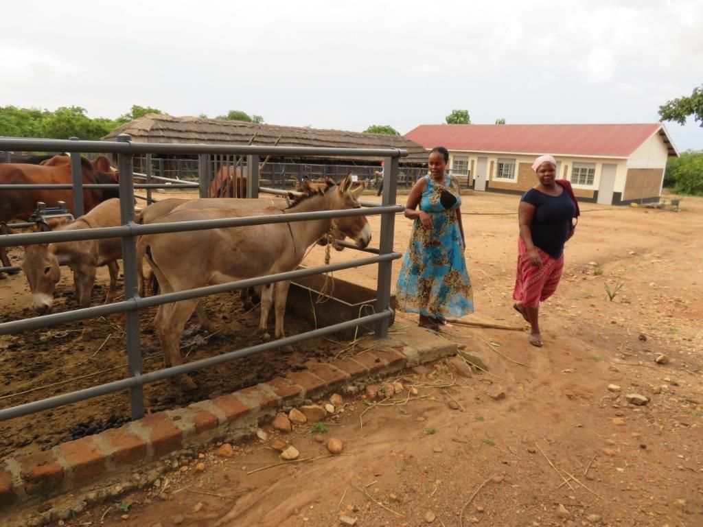 Mountbellew Franciscans appeal for agricultural equipment