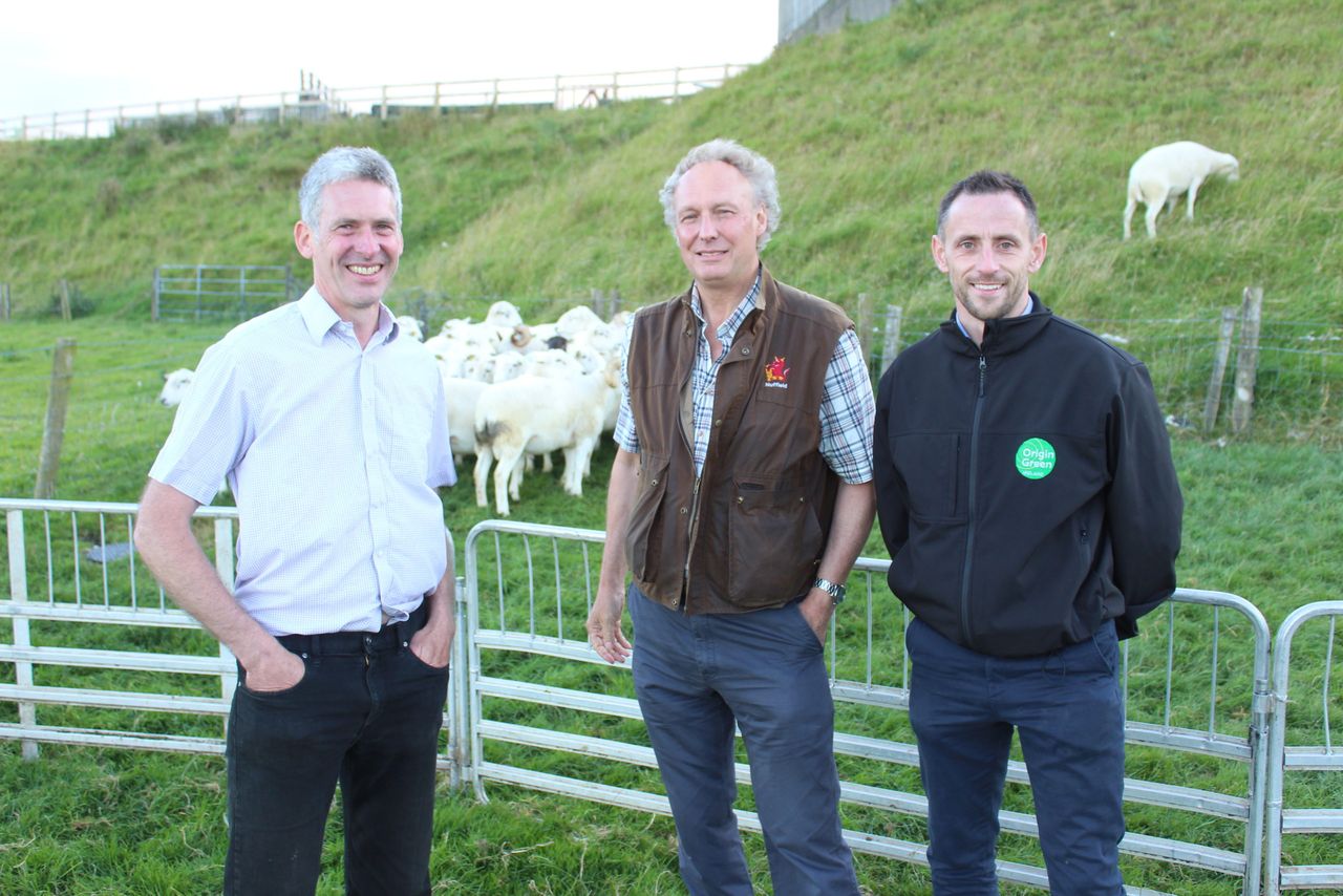 Input costs and grass shortage resulting in low fat score in lambs
