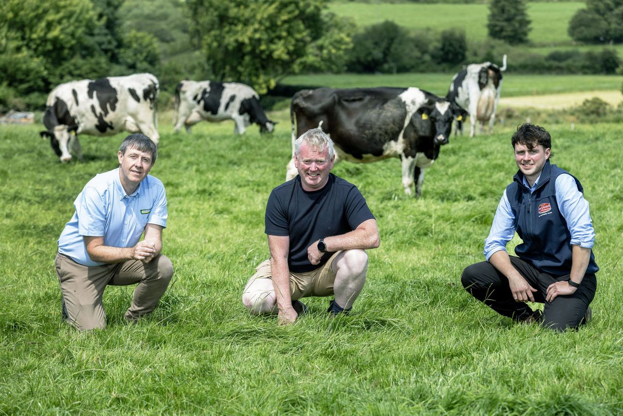 Find out about a Co. Cork farmer's winning approach with Dairygold and AgNav