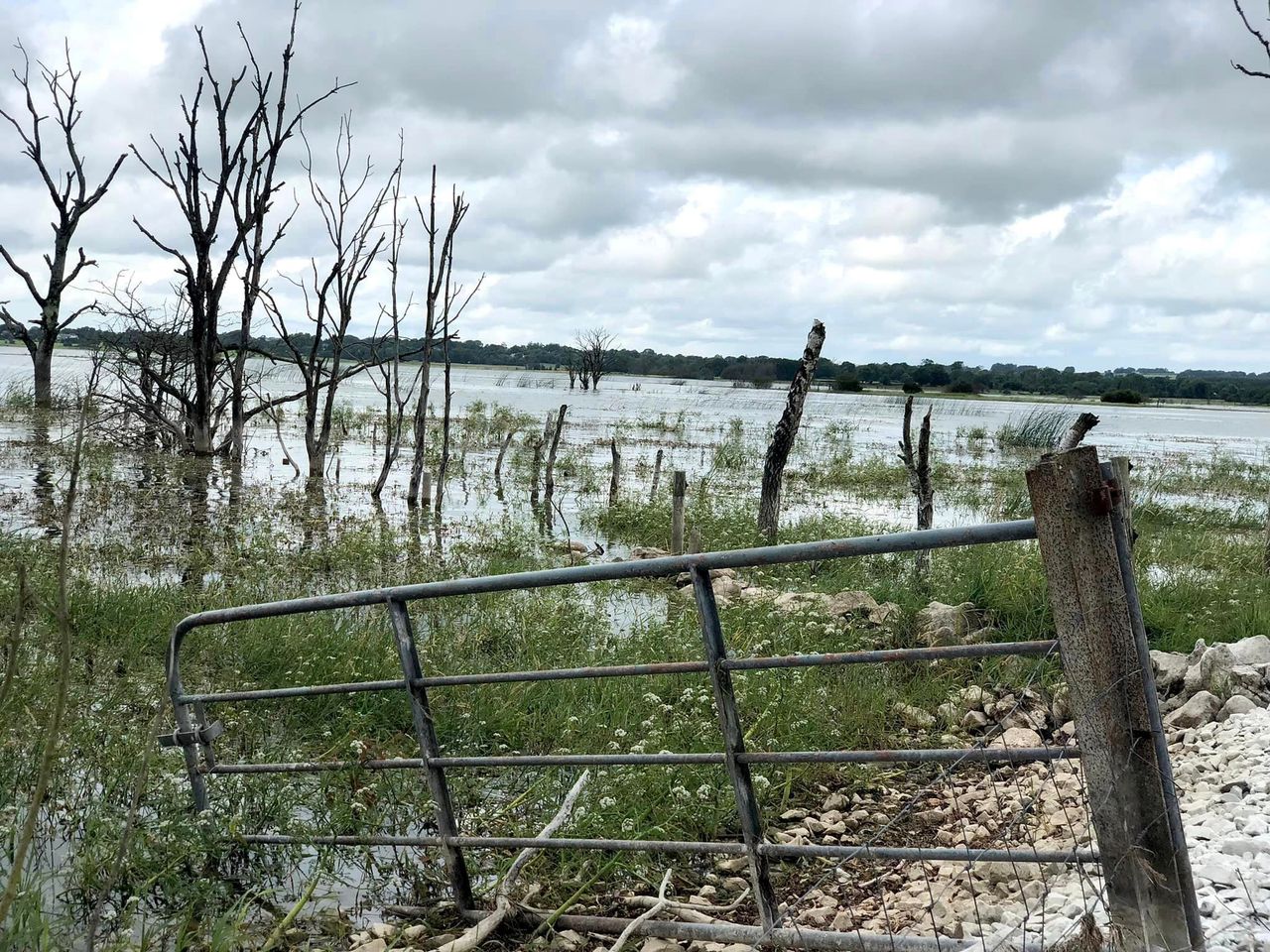 Trying to farm around flooded land at Lough Funshinagh
