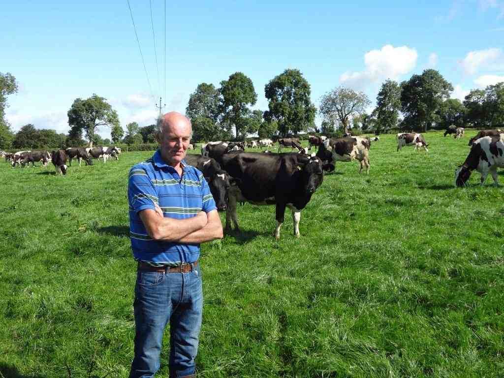 Planning ahead for this winter’s fodder supplies