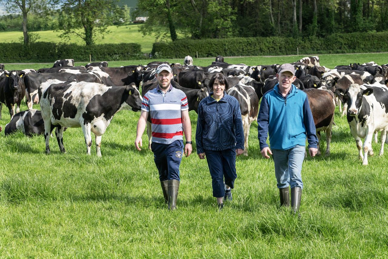 'Dairying at Dusk' evening walk to be held on award-winning farm