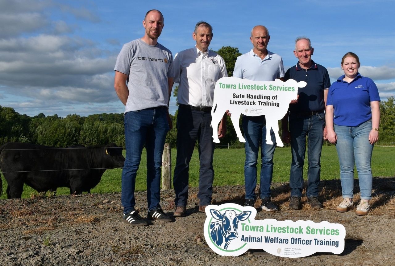 DAFM funds new livestock handling and welfare training courses