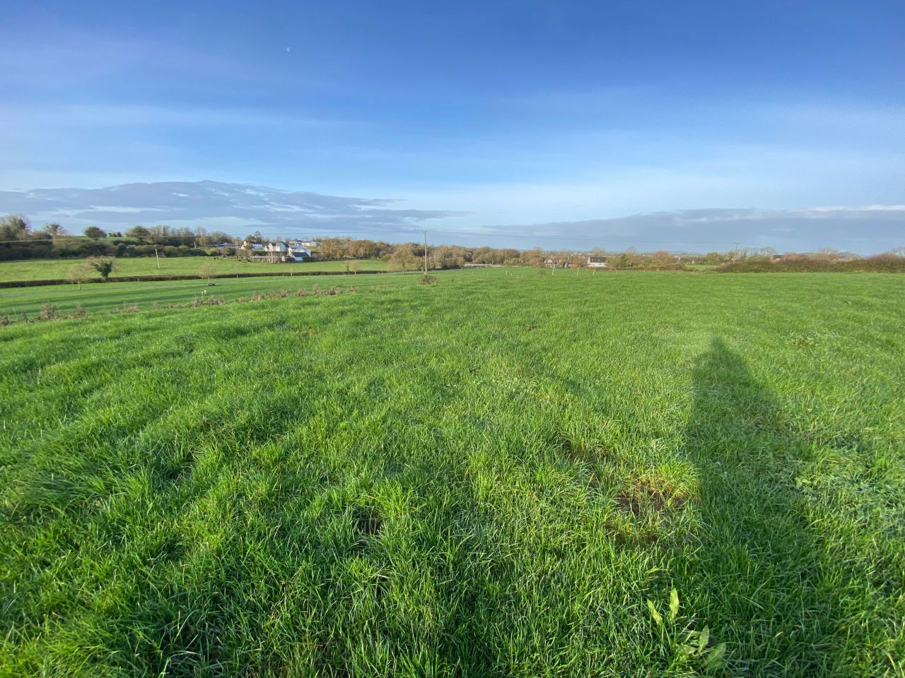 '148ac top class dairy farm' for sale in Co. Limerick