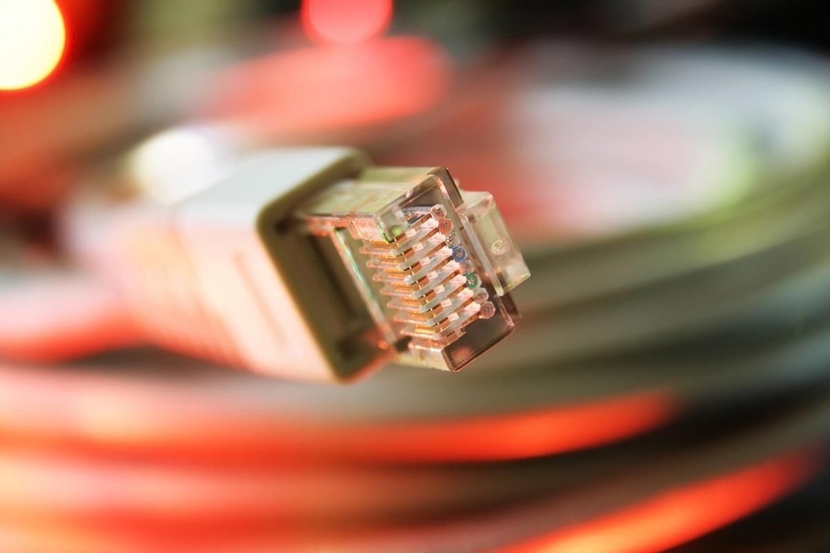 'Information &amp; communications technology the key to revolutionising agriculture'