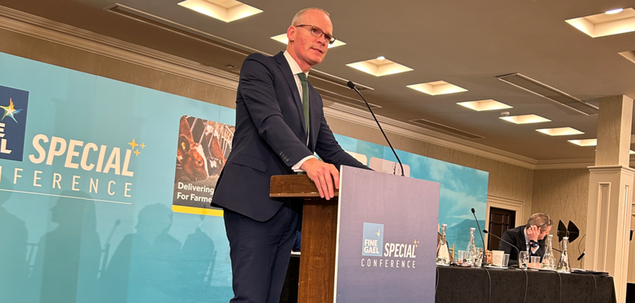 Coveney: Fine Gael will 'not allow an urban/rural divide'