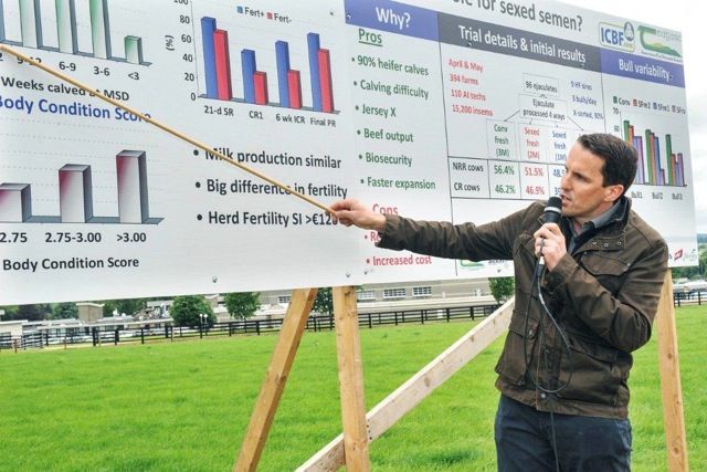 Sexed semen key for profit, Teagasc