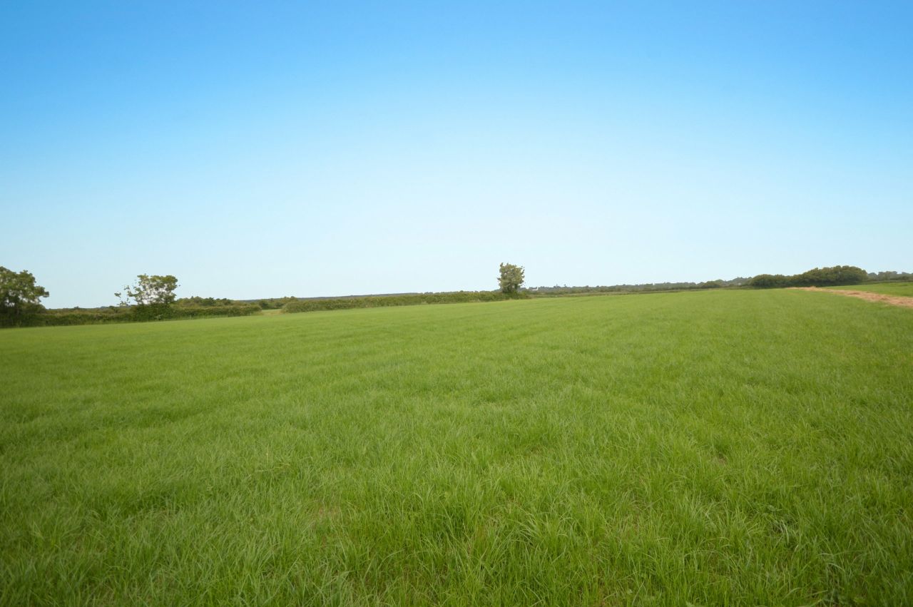 Gorey land sale includes derelict cottages