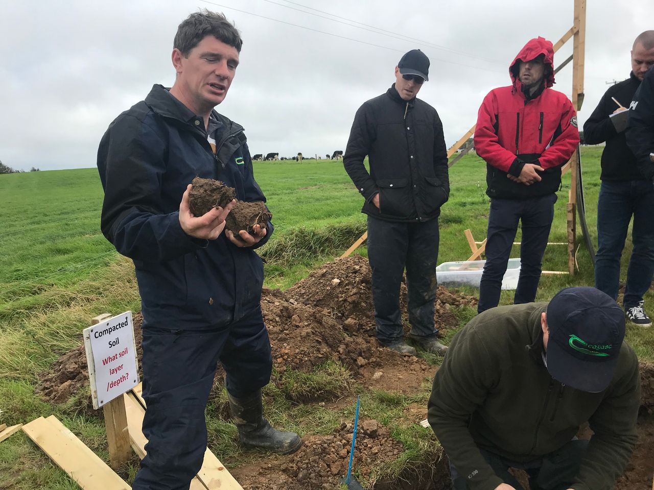 Dig down to see what's going on in your soil