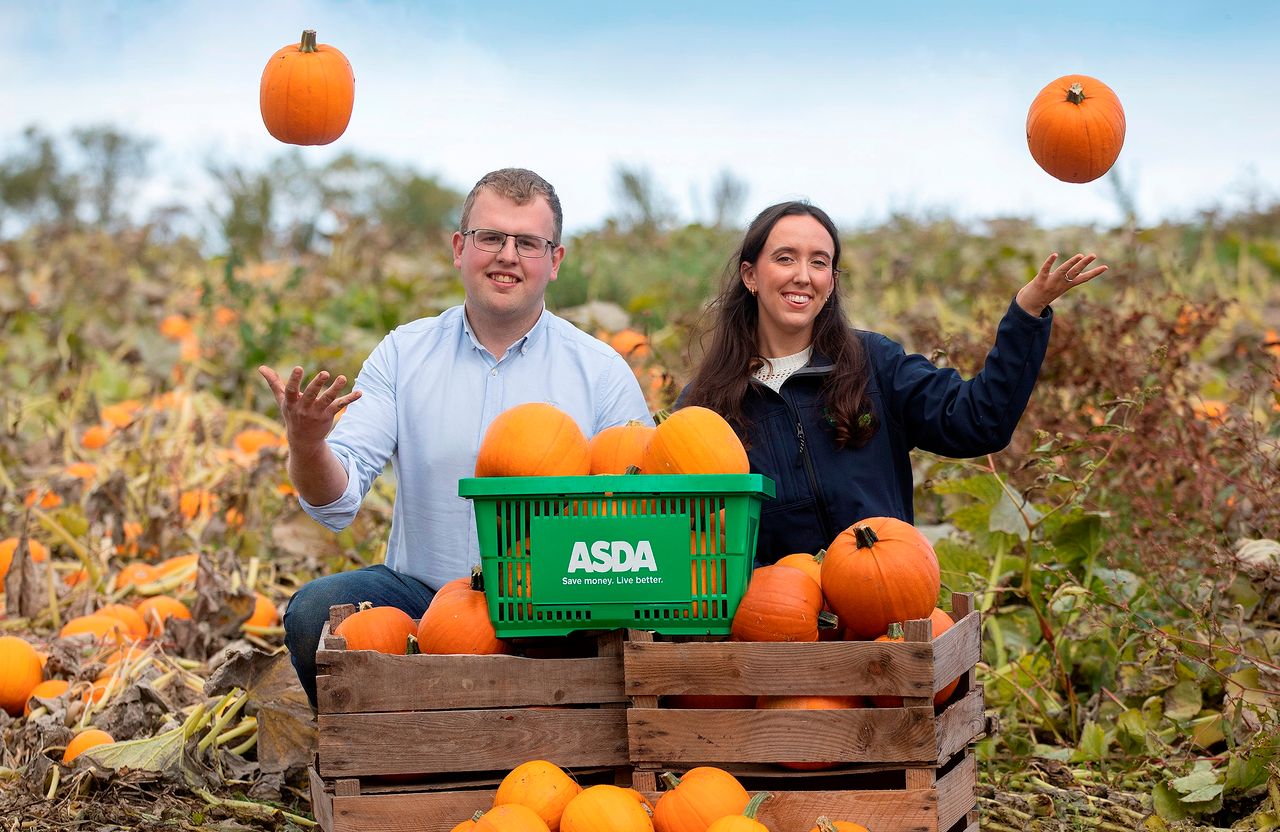 Growing pumpkins for the Halloween market in Armagh