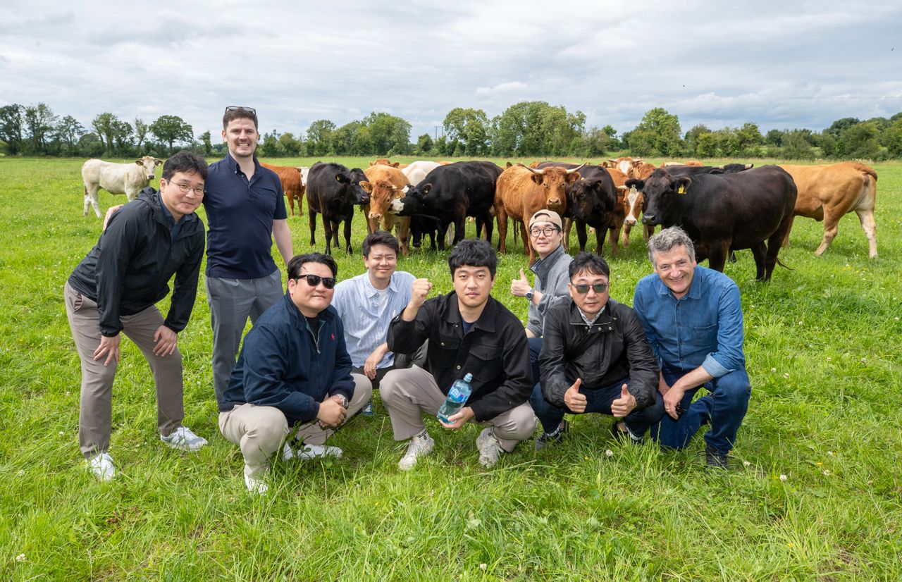 South Korean beef buyers visit Irish farms
