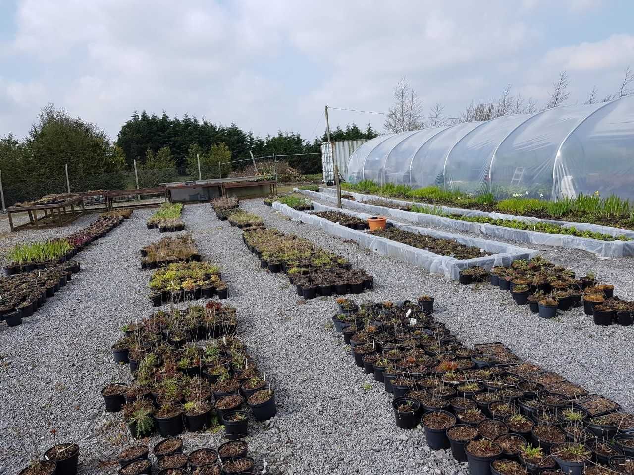 Social farming: 'It slows you down and makes you think all about life'